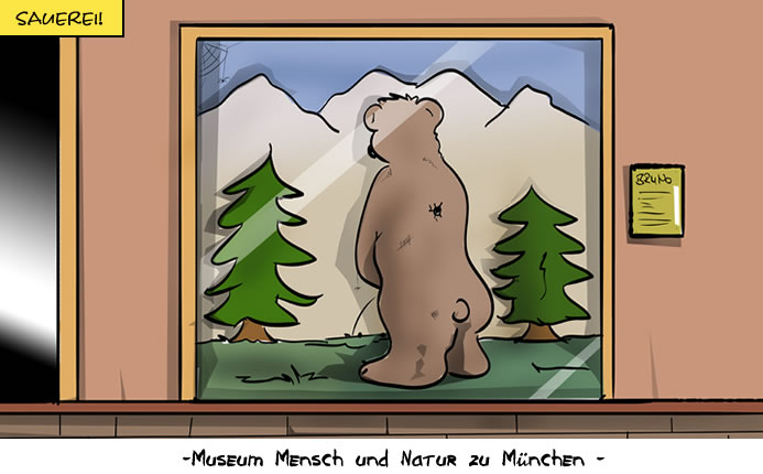 Bruno der Bär, ausgestellt im Museum Mensch und Natur zu München